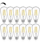 12Packs Vintage LED Edison Bulbs, 60W Equivalent 7W, 800Lumens, Dimmable ST64 Antique LED Filamen...