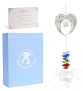 COSOWO Memorial Gift for Loss of Pet - Handcrafted Crystal Paw Print Ornament, Sympathy Gift for ...
