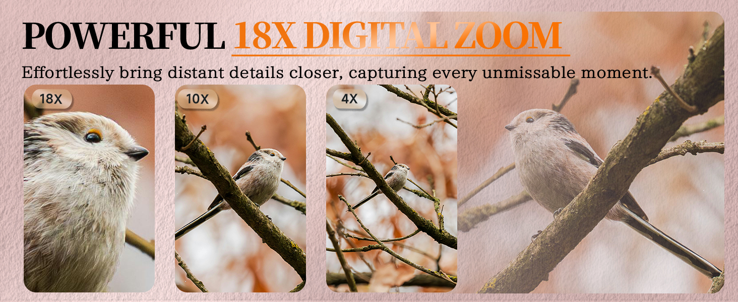 Digital Camera with 18X Digital Zoom