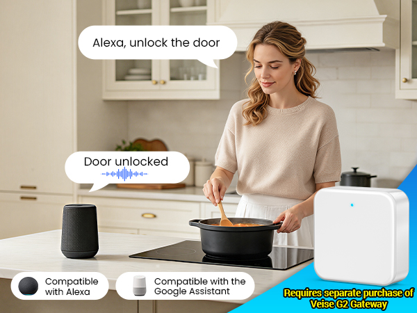 alexa door locks for front door