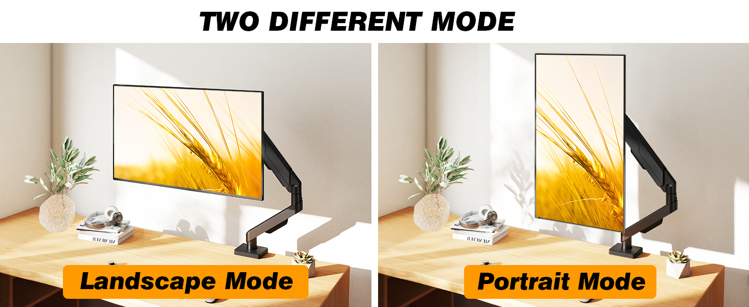 monitor arms
