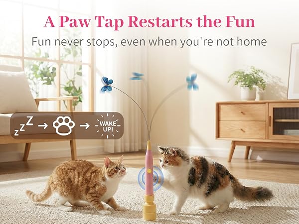 Two cats tap the butterfly toy to restart play, keeping entertained alone while you’re out.