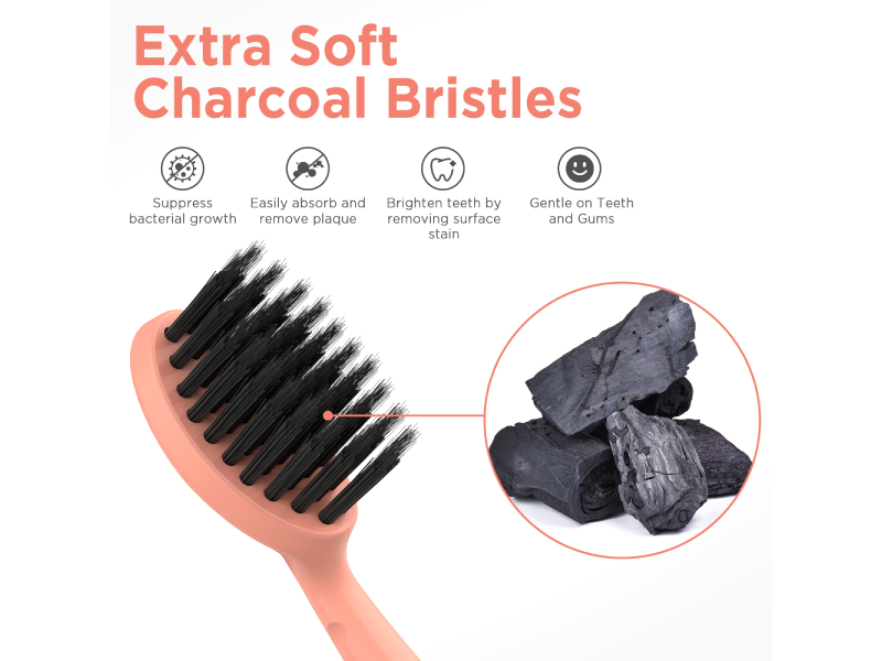 burst brush head replacement