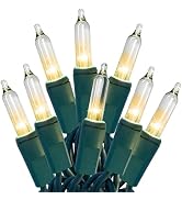 HISHINY Christmas Lights 100 Count Clear Christmas Tree String Lights with Green Wire for Outdoor...