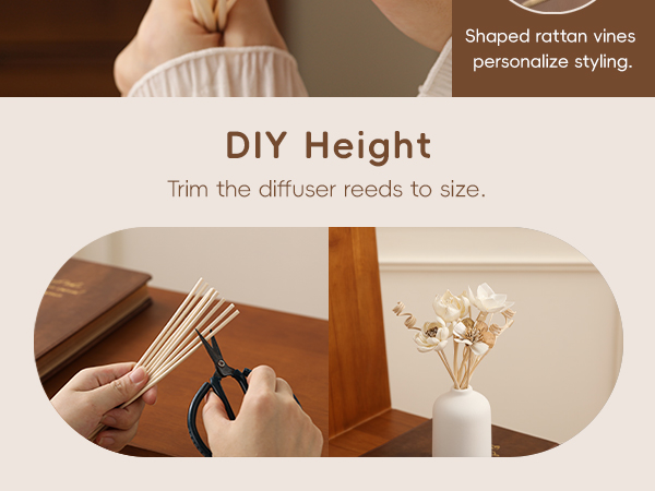 diffuser stick