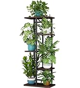 LINZINAR Plant Stand 5 Tier 6 Potted Indoor Plant Shelf Multiple Stands for Garden Corner Balcony...