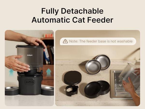 multi cat feeder