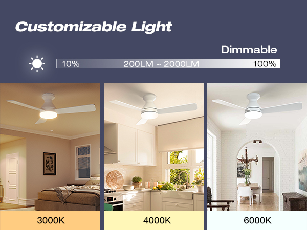 customizable light