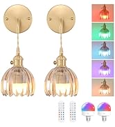 Shenmoyl Battery Operated Wall Sconce with Amber Tulip Shade Pattern Glass Adjustable Chain Retro...
