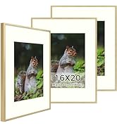 Golden State Art, 16x20 Aluminum Metal Frame with Ivory Mat for 11x14 Pictures, Includes with Saw...