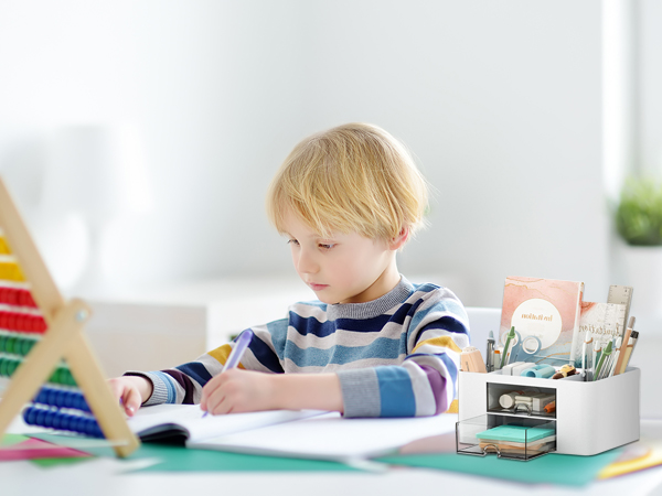 Pencil Pen Holder for Desk