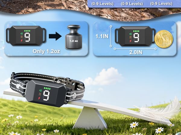 Small Shock Collar for Dogs