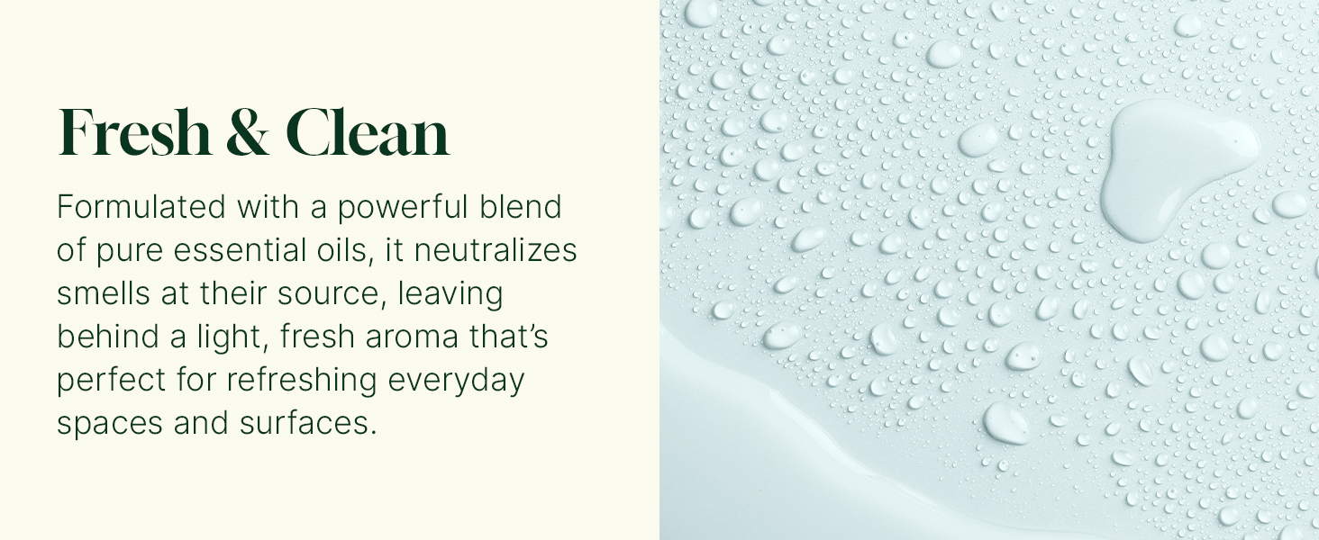 fresh clean scent