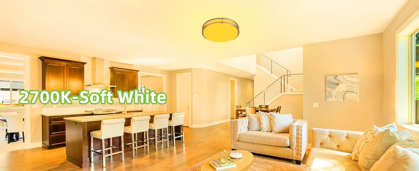 Flush Mount LED Ceiling Light Fixture