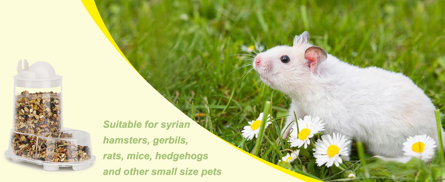 Hamster Feeder Food Bowl