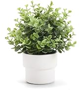 Coferset Small Fake Plants 7.45” Eucalyptus Potted Artificial Eucalyptus Plant for Home Bathroom ...