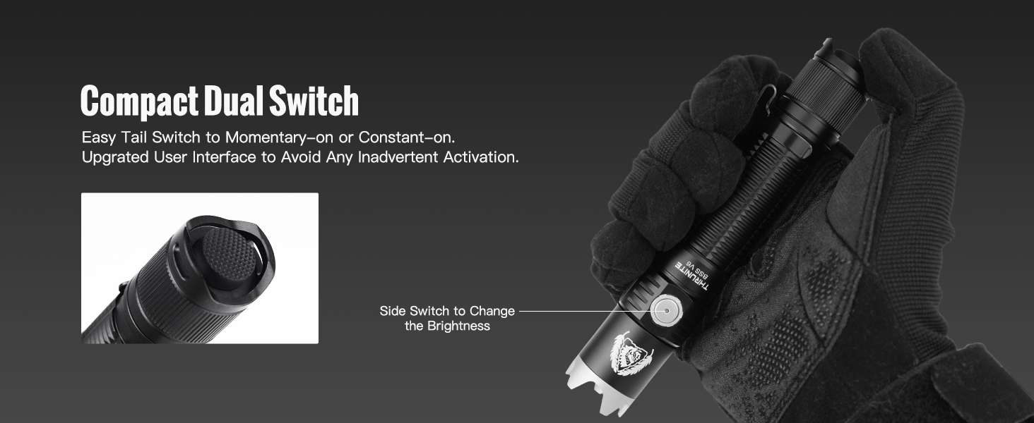 dual switch