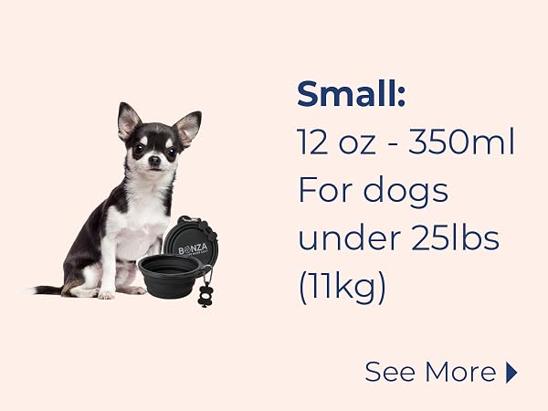 Collapsible Dog Bowl