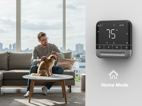 Home Mode