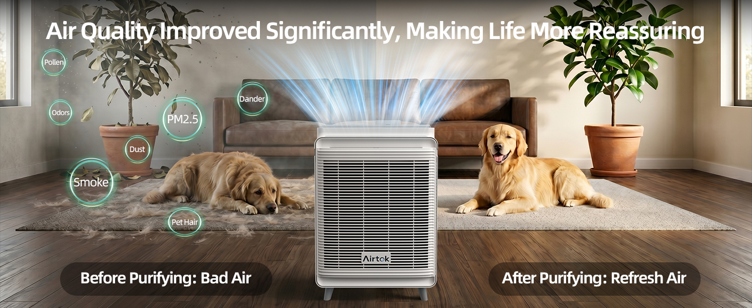 Air Purifier