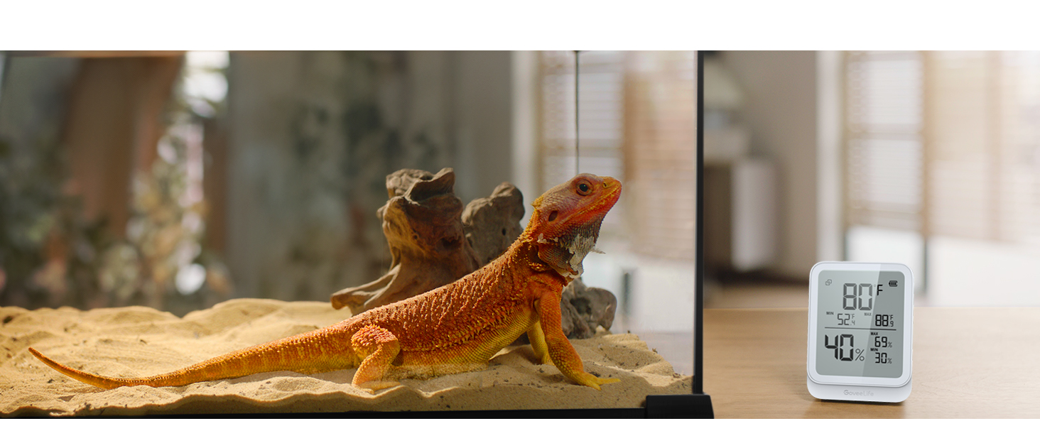 Reptile Room