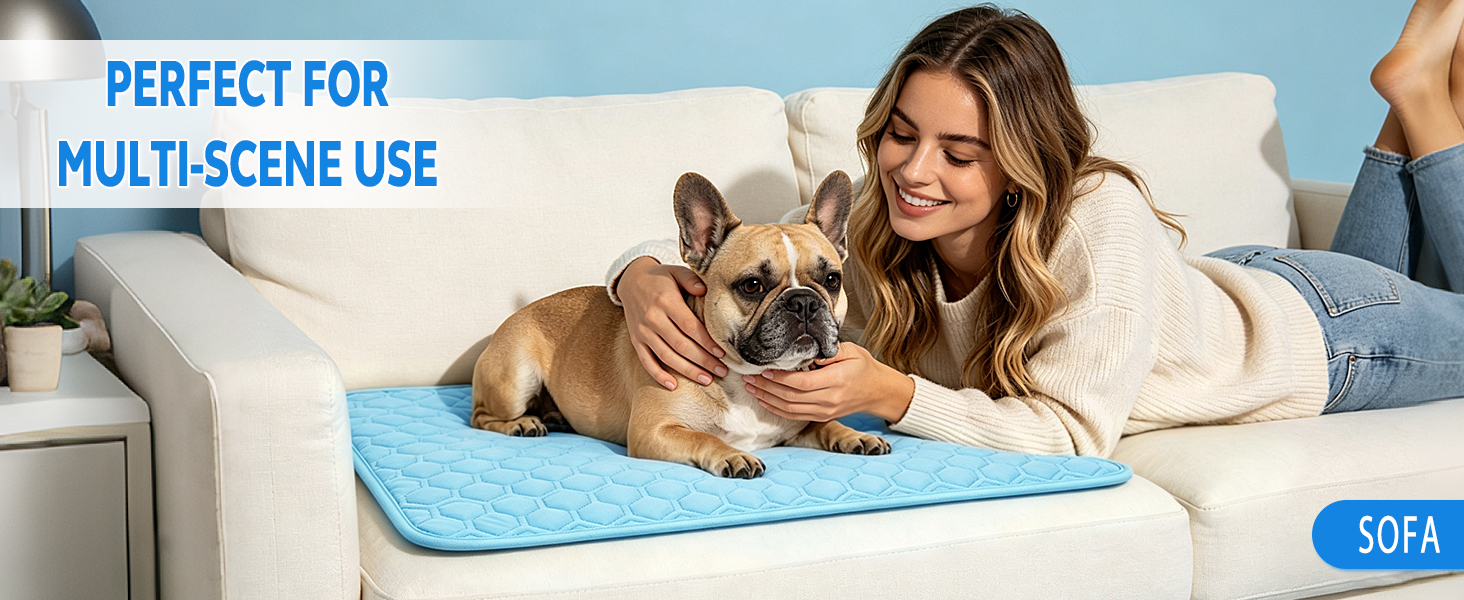 Dog cooling pad can be placed on kennel floors to keep furry friends refreshed