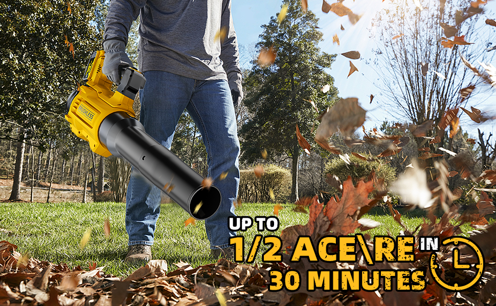 dewalt leaf blower