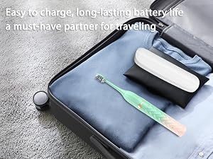 travel companion