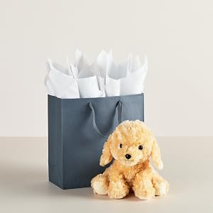 Hallmark Large Gift Bag