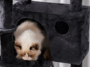 cat tree