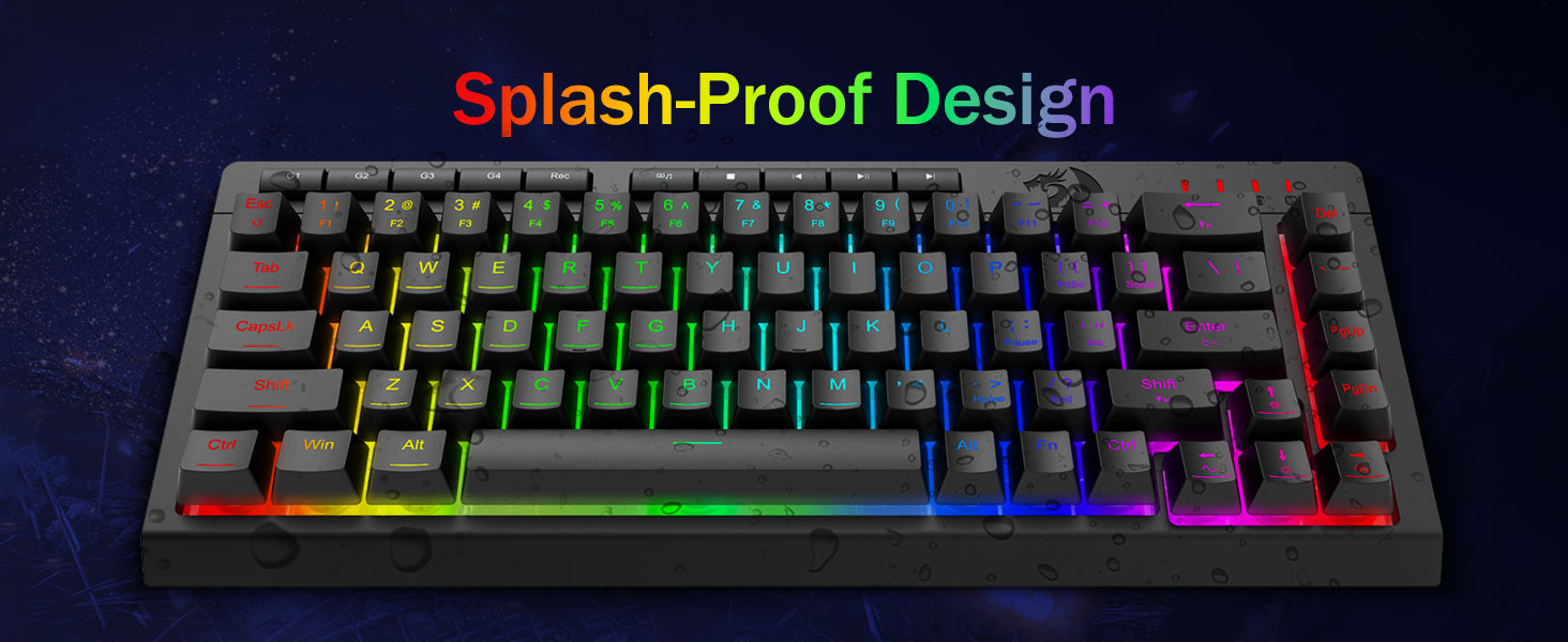 splash design