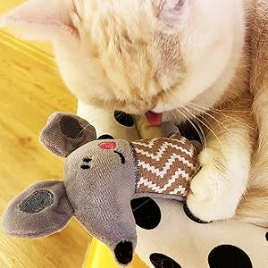 cat toys