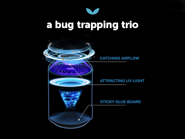 KATCHY Insect Trap 8-Pack of Refillable Glue Boards