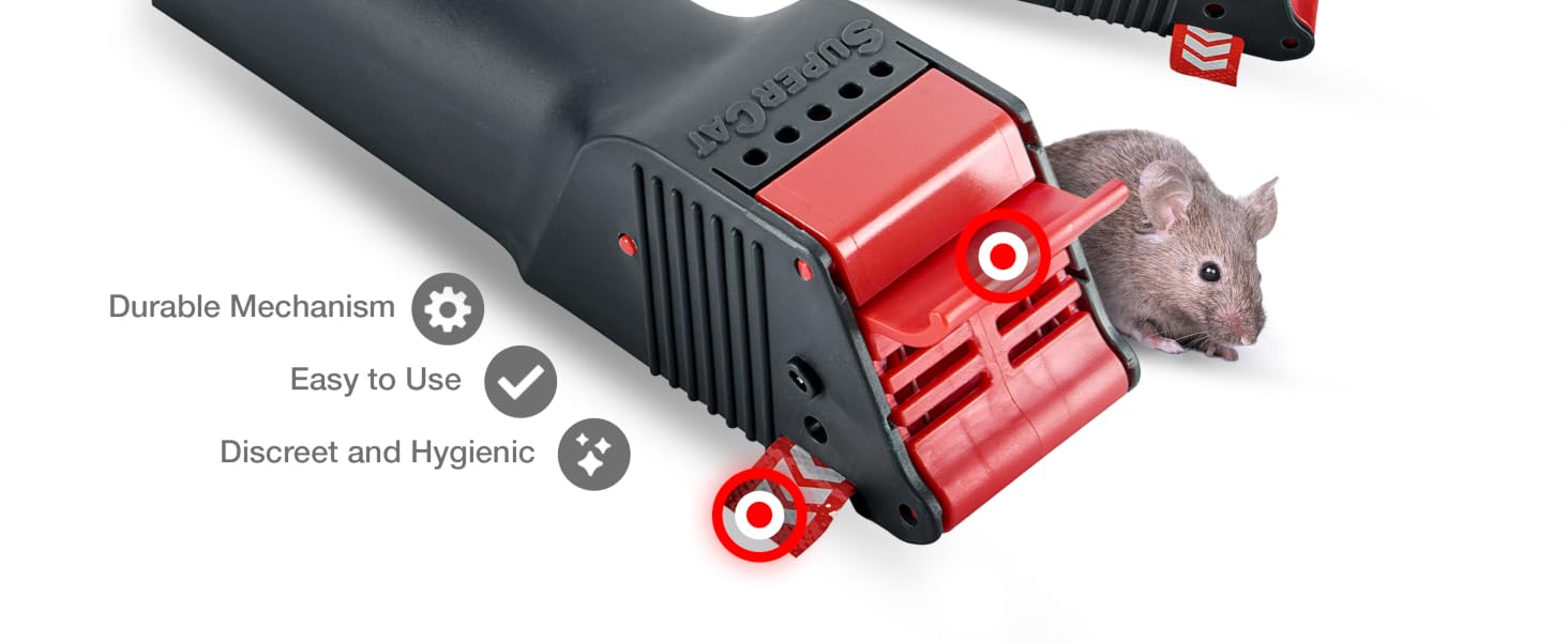 https://m.media-amazon.com/images/S/aplus-media-library-service-media/946e06c2-dea4-45a8-839c-079f8a3a2e4d.__CR0,0,2928,1200_PT0_SX1464_V1___.png