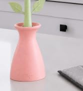flower-style scrubbing brush