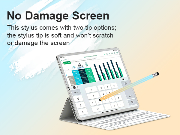 stylus