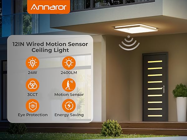 motion sensor light