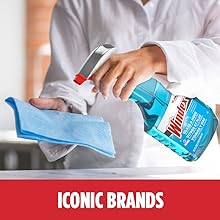 SC Johnson Professional Iconic Brands_Windex