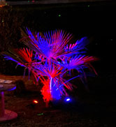 color changing solar lights