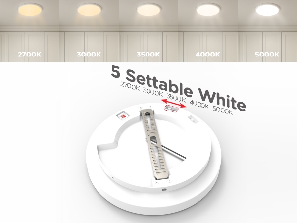 motion sensor light