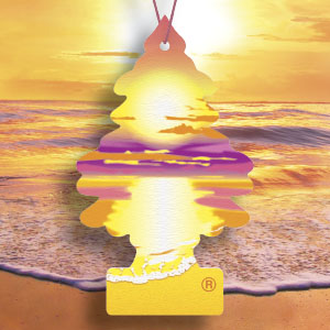 LITTLE TREES Sunset Beach