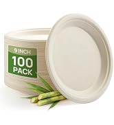 Goodluck 9 Inch Natural Compostable Sugarcane Paper Plates,100 Pack | 100% FSC Certified Bagasse ...