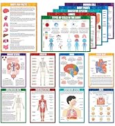 14Pcs Human Anatomy Posters Educational Learn Body Parts physiology study charts Wall Art Print C...