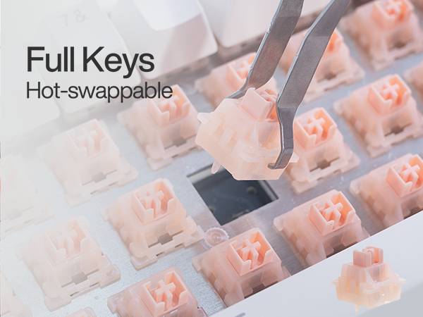 Rapid Trigger Wired Mechanical Keyboard