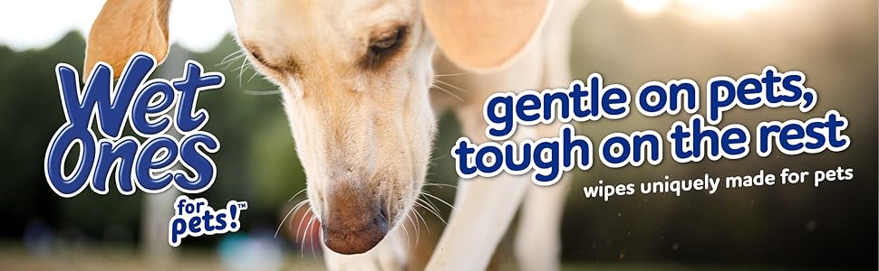 puppy essentials dog wipes dog products pet supplies dog bath dog groomingdog paw cleaner pet wipes