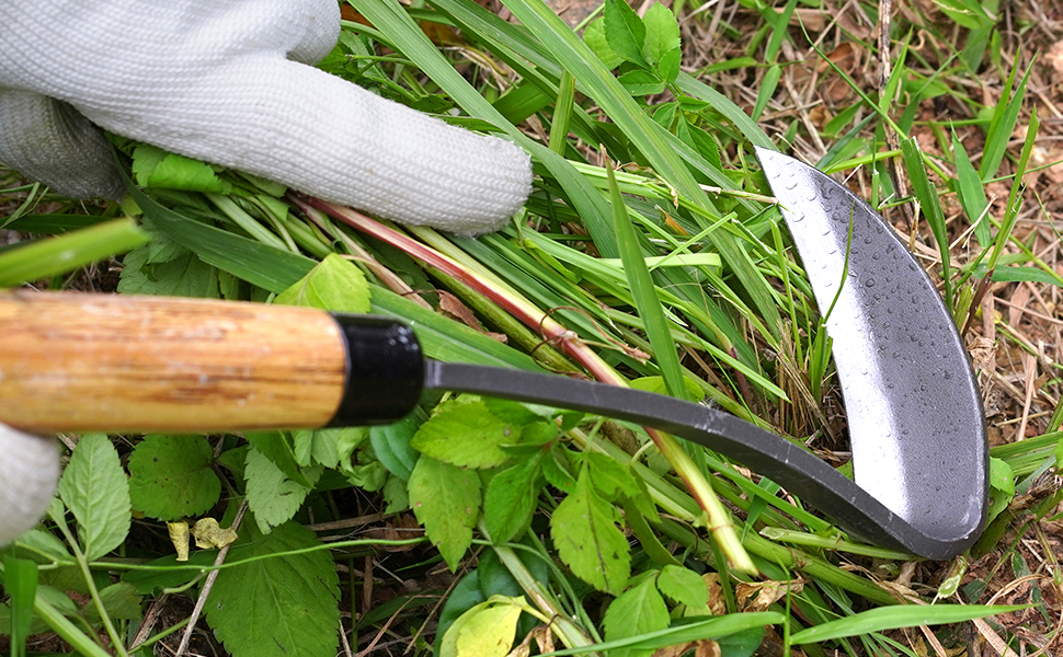 gardening tools