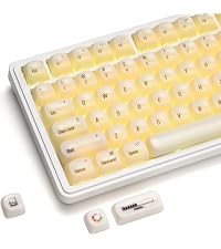 https://m.media-amazon.com/images/I/41aXMNX1udL.__AC_SR200,225___.jpg