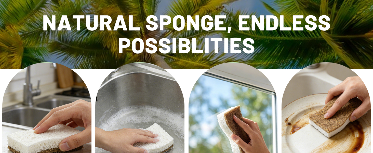 Biodegradable Kitchen Dish Sponges