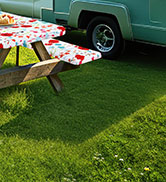camping