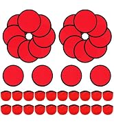 YEAHACLUB 20 PCS Foldable Flying Disc Fans with Bags, 9.8'' DIY Handheld Fabric Folding Fan, Blac...